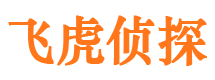 陵川婚外情调查取证